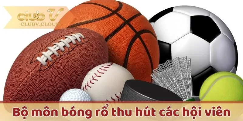 Bộ môn bóng rổ thu hút các hội viê