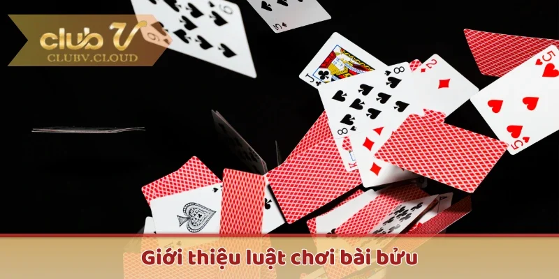 Sơ lược về luật chơi bài bửu cho người mới bắt đầu